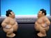 super sumo spy power (1)